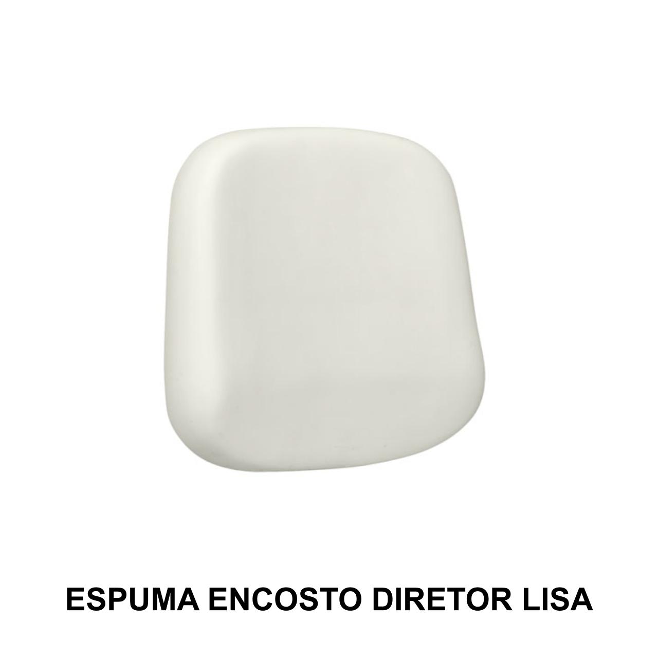 Espuma ENCOSTO Diretor LISA - 99201